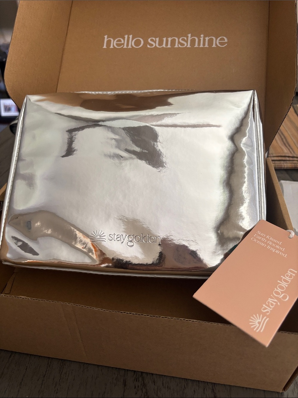 Metallic Silver Insulated Cosmetic Bag (Medium Size)